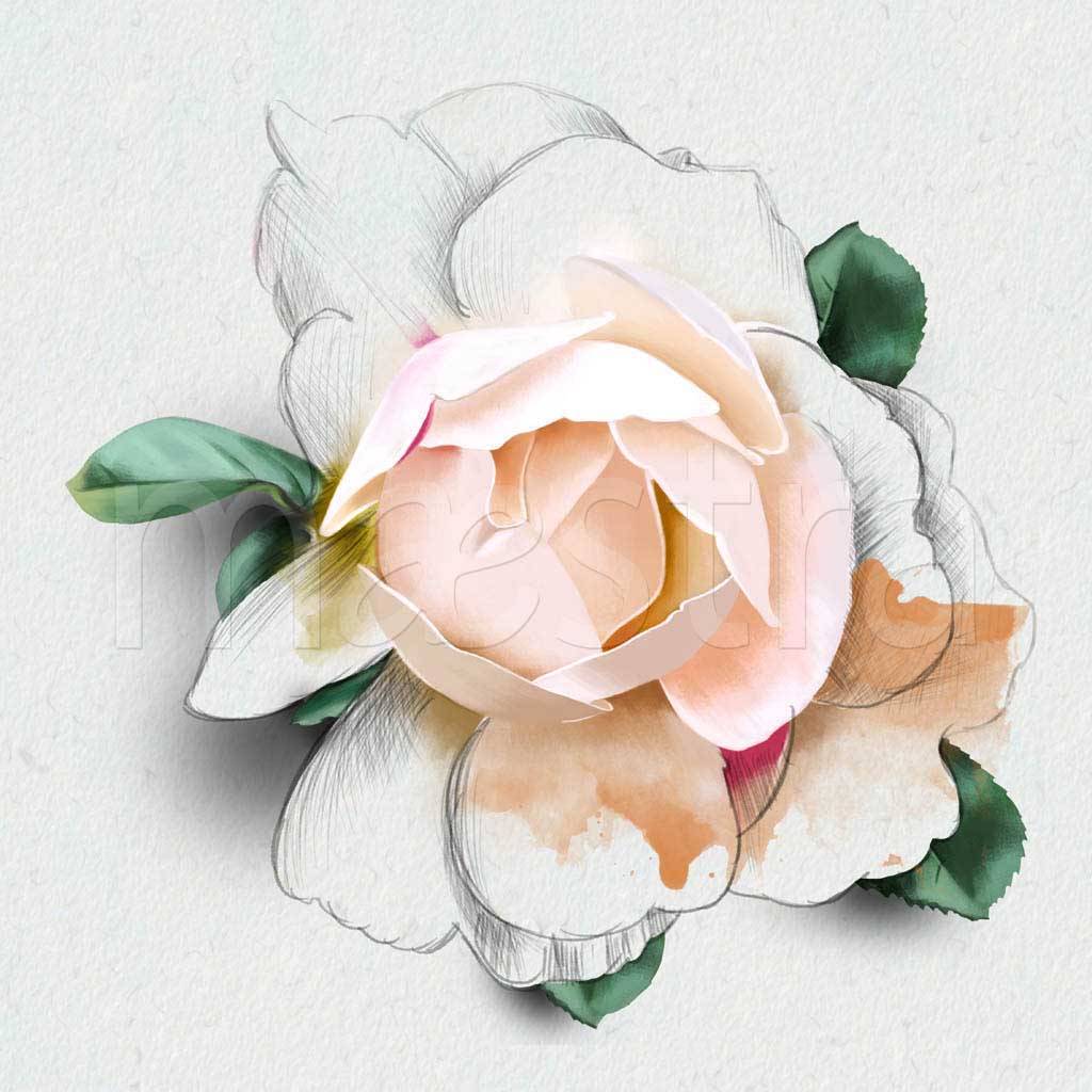 Фотообои Чайная роза художественная